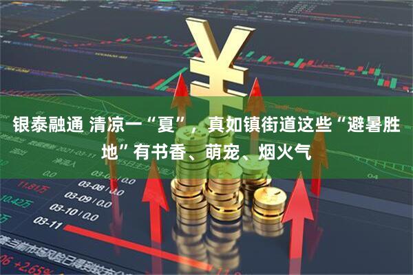 银泰融通 清凉一“夏”，真如镇街道这些“避暑胜地”有书香、萌宠、烟火气