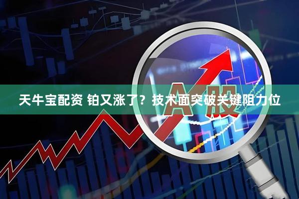 天牛宝配资 铂又涨了？技术面突破关键阻力位