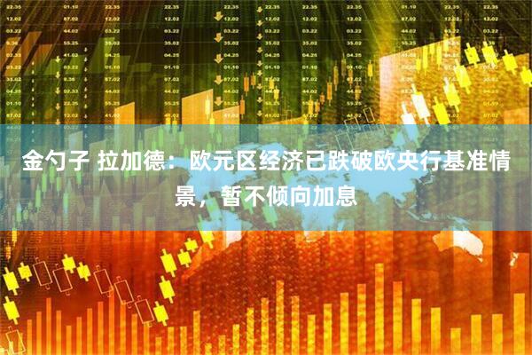 金勺子 拉加德：欧元区经济已跌破欧央行基准情景，暂不倾向加息